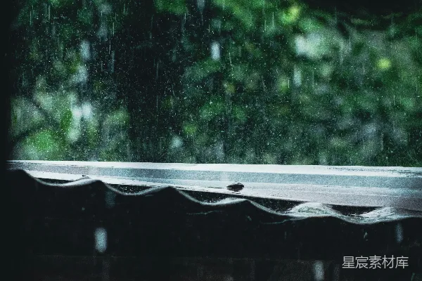 高清摄影 窗台上一只鸟在雨中休息