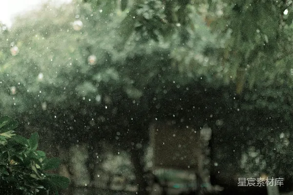 高清摄影 雨中的一幅模糊的树和凳子的照片