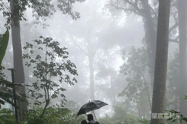 高清摄影 伞下的 couple