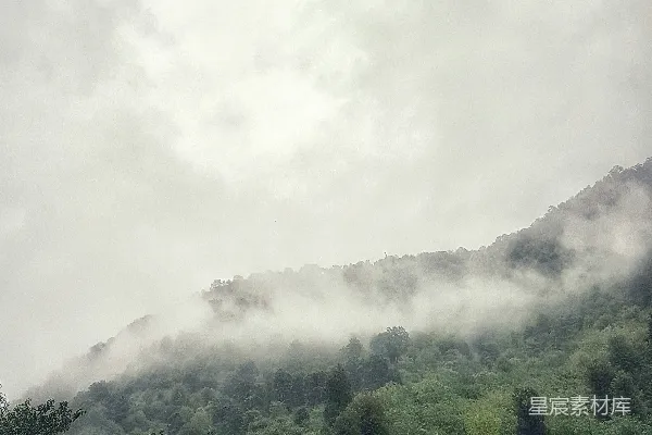 高清摄影 山中绿树映衬着白云，白天景色。