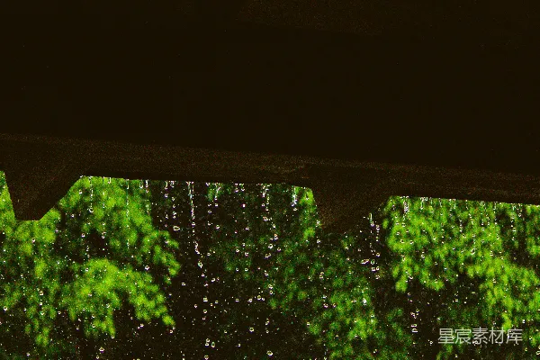 高清摄影 透过窗户看到的一片树林的景象