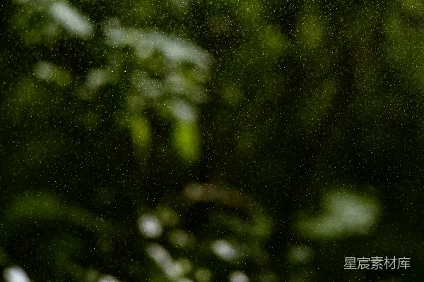 高清摄影 一些花朵的特写镜头