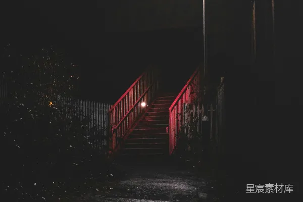 高清摄影 夜晚红白灯亮的建筑