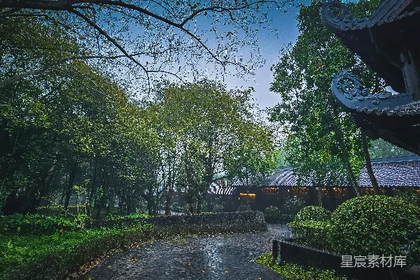 高清摄影 一幅有许多树木的公园的照片