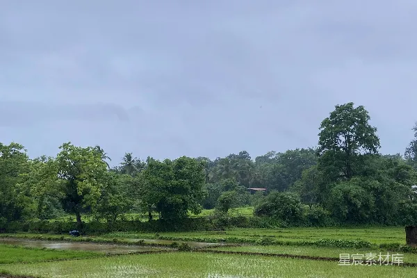 高清摄影 白天绿草地上方白云蓝天