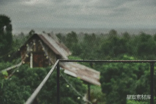 高清摄影 棕色木屋位于绿色树木间白天景色