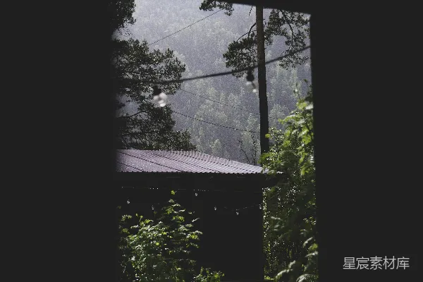 高清摄影 森林中的一座房子