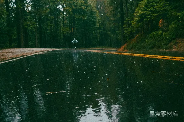 高清摄影 一个池塘的特写镜头