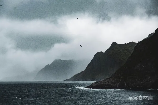 高清摄影 海面上飞过的鸟儿 near the mountain