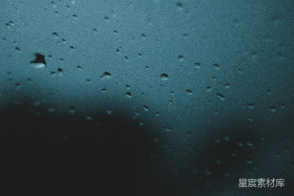高清摄影 水汽凝结的特写照片