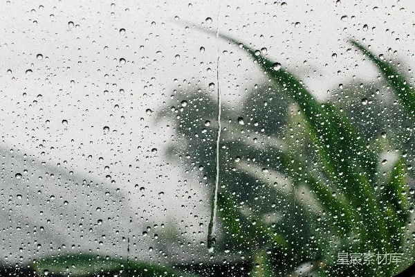 高清摄影 玻璃上雨滴的浅景深摄影