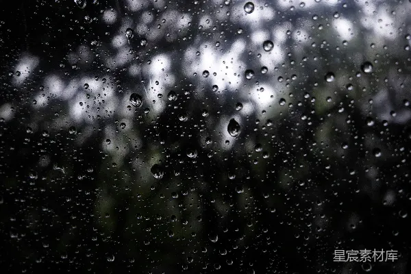 高清摄影 窗外树木下的雨滴