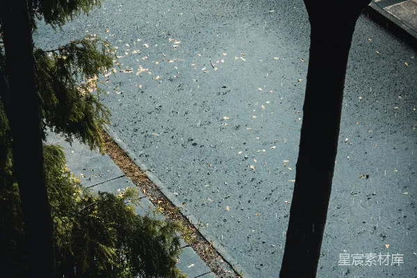 高清摄影 一个人走在一条街道旁边的一棵树下