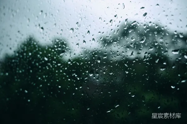 高清摄影 窗外被雨水打湿的窗户背景是树木。