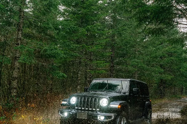 高清摄影 白天森林中的黑色jeep wrangler