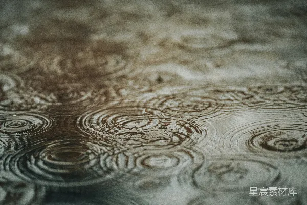 高清摄影 雨滴在水面激起涟漪。