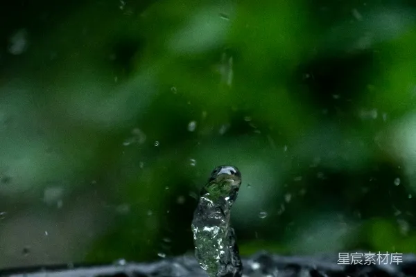 高清摄影 背景中有绿色植物的水龙头
