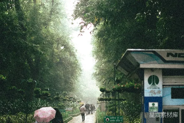 高清摄影 一群人在一条小路上行走，撑着伞