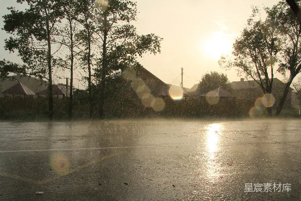 高清摄影 雨天阳光透过树梢照射过来