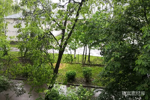 高清摄影 白天树木环绕的水体附近