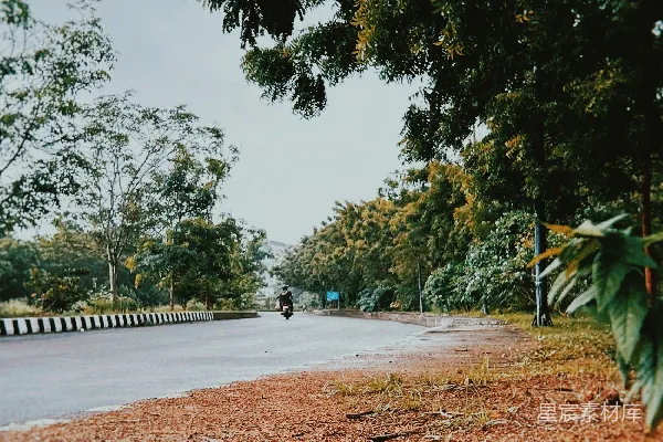 高清摄影 道路上散落着一堆泥土。
