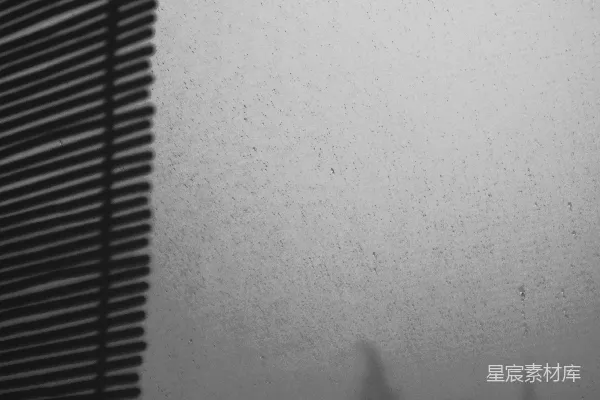 高清摄影 一幅黑白照片中的建筑物和窗户