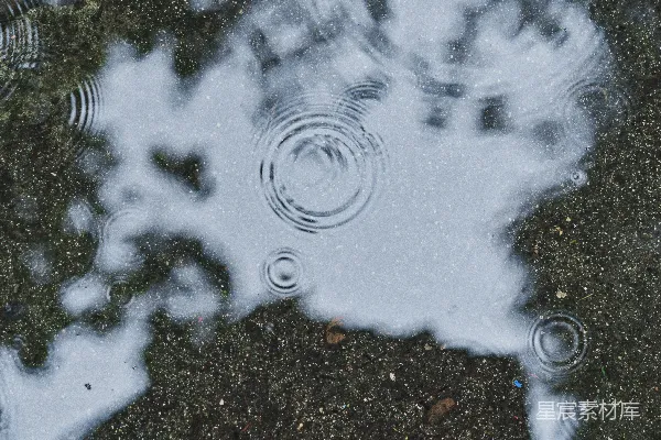 高清摄影 背景中有树木的水洼