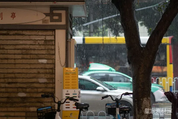 高清摄影 几辆自行车停在树旁和一栋建筑旁边