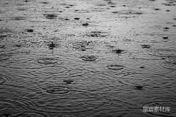 高清摄影 黑白照片上的雨滴