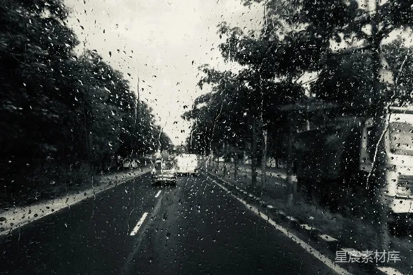 高清摄影 路上有车，两旁是树木