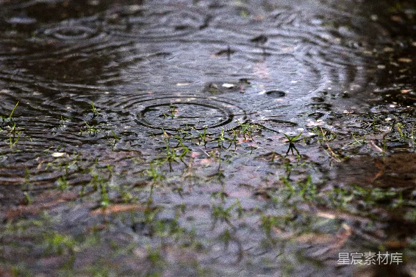 高清摄影 一汪水中夹杂着草的水洼