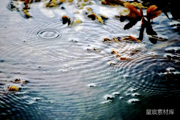 高清摄影 水洼里漂浮着落叶