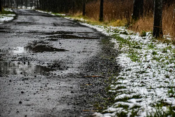 高清摄影 森林中一条湿漉漉的道路