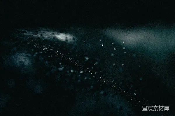 高清摄影 黑白照片上的水珠