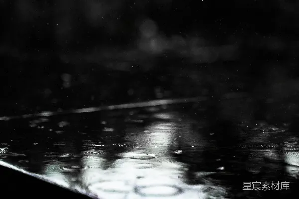 高清摄影 一幅黑白照片中的雨淋湿的雨伞