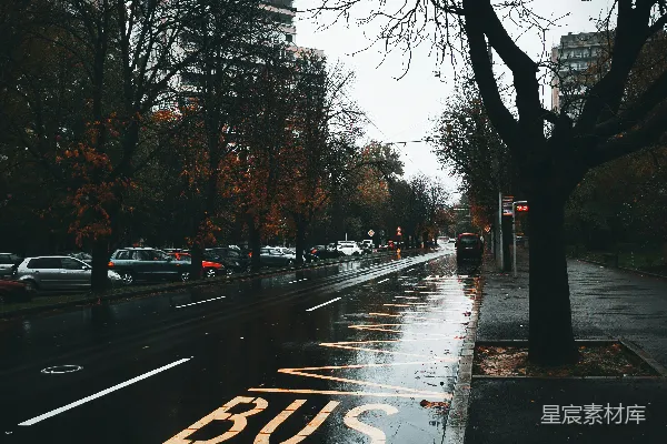 高清摄影 雨天里的公交站牌