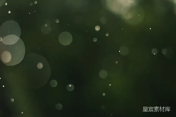 高清摄影 浮动的光点在深绿色背景上形成虚化效果。