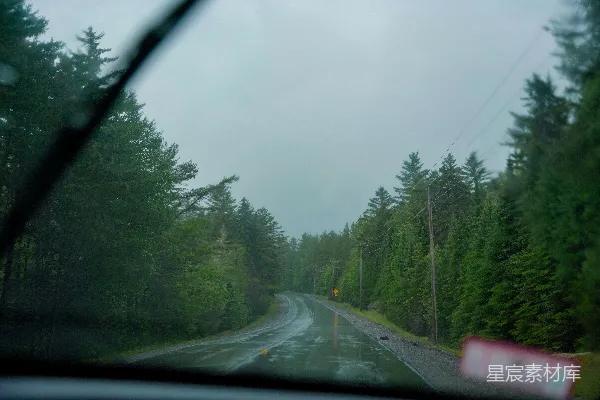 高清摄影 在森林中驾驶湿滑的道路