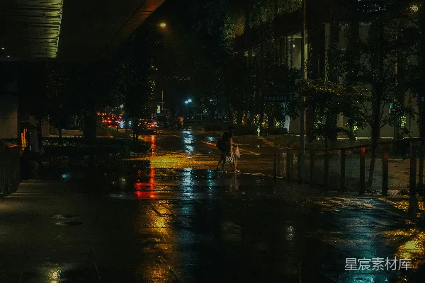 高清摄影 两名女子在夜间走在湿漉漉的路上