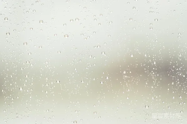 高清摄影 露水