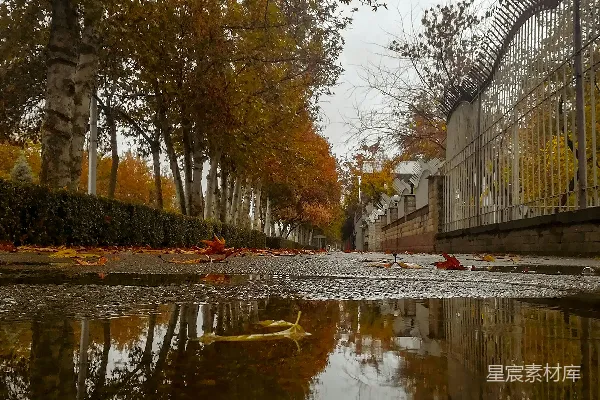 高清摄影 白天河边棕色的树木旁边