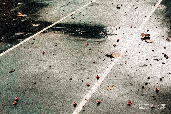 高清摄影 黑白水泥路