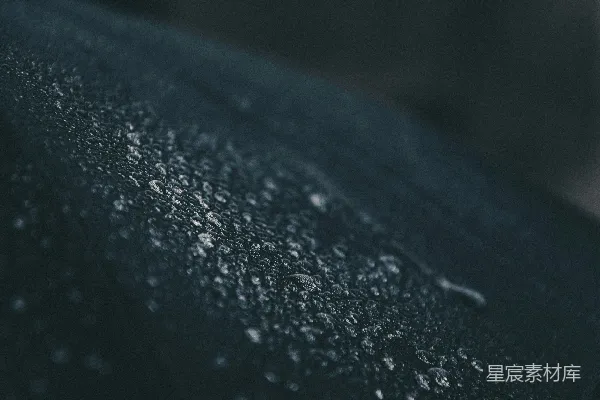 高清摄影 水滴特写照片