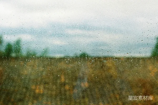 高清摄影 透过蒙上雨的窗户看去的一片田野