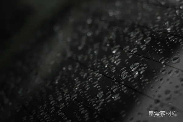 高清摄影 黑白照片中的雨滴