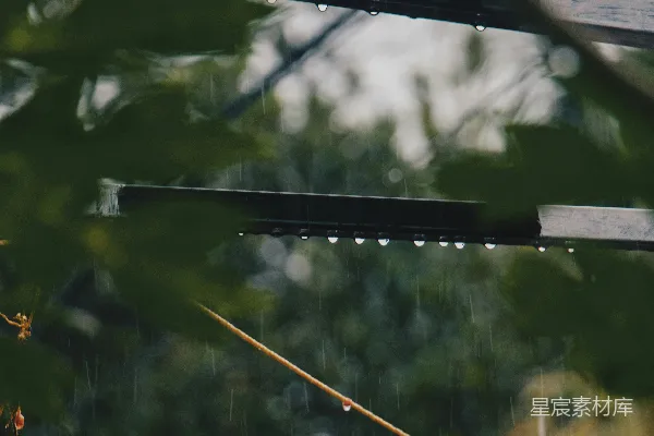 高清摄影 背景中有树木的一条近景雨沟