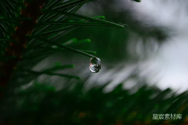 高清摄影 水滴的微距摄影