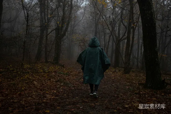 高清摄影 穿着雨衣的人走在森林里