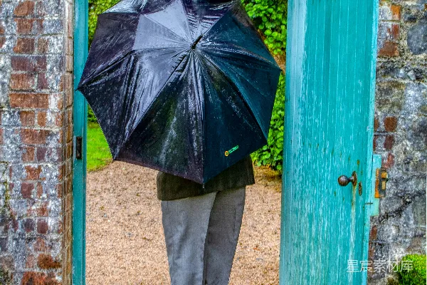 高清摄影 黑色雨伞旁的人站在蓝色木门前