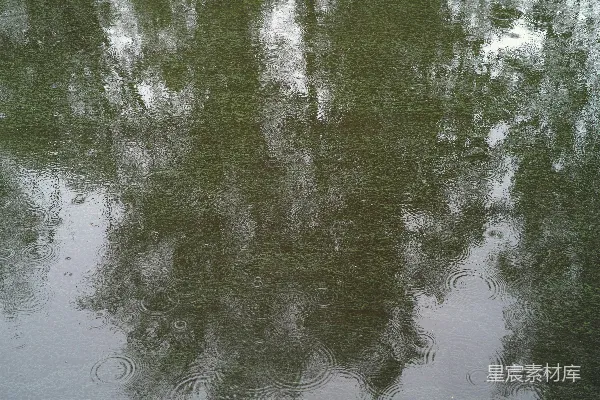 高清摄影 水面倒映的一棵树